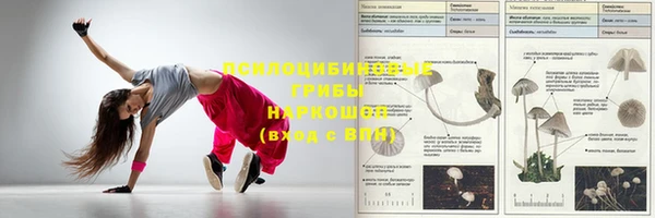 СК Верхний Тагил