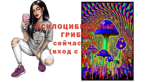 мяу мяу мука Верея