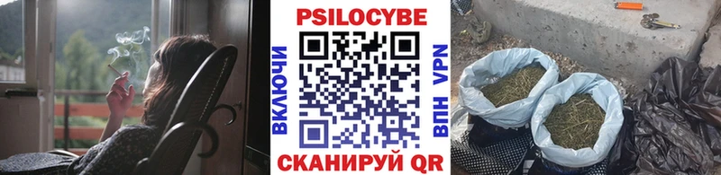 Псилоцибиновые грибы мицелий  Петропавловск-Камчатский 